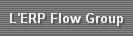 Flow Group ERP